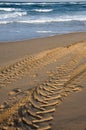 Tyre tracks beach