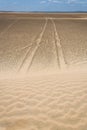 Tyre tracks through the desert Royalty Free Stock Photo