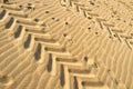 Tyre tracks and footprints Royalty Free Stock Photo