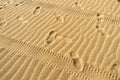 Tyre tracks and footprints Royalty Free Stock Photo