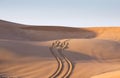 Tyre tracks inthe desert at sunrise Royalty Free Stock Photo