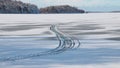 Tyre tracks in melting snow Royalty Free Stock Photo