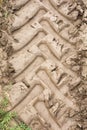 Tyre tracks in the mud Royalty Free Stock Photo