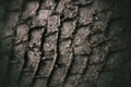 Tyre tracks in mud Royalty Free Stock Photo