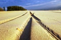 Tyre tracks on the sand at the beach Royalty Free Stock Photo