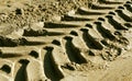 Tyre tracks on sand with blur effect. Royalty Free Stock Photo