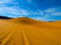 Tyre tracks in the sand Royalty Free Stock Photo