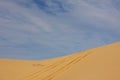 Tyre tracks on sand dune Royalty Free Stock Photo