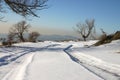 Tyre tracks in the snow Royalty Free Stock Photo