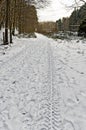 tyre tracks on snow-covered forest road Royalty Free Stock Photo