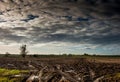 Tyre tracks in wet mud Royalty Free Stock Photo