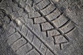 Tyre tread imprint in asphalt Royalty Free Stock Photo