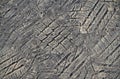 Tyre tread imprint in asphalt Royalty Free Stock Photo