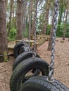 Tyres hanging down on chains woodland obstacle course Royalty Free Stock Photo