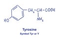 Tyrosine chemical structure. Vector illustration Hand drawn Royalty Free Stock Photo