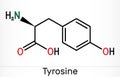 Tyrosine, L-tyrosine, Tyr,  C9H11NO3  amino acid molecule. It plays role in protein synthesis, it is precursor for synthesis of Royalty Free Stock Photo