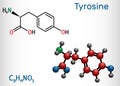 Tyrosine, L-tyrosine, Tyr, C9H11NO3 amino acid molecule. It plays role in protein synthesis, it is precursor for synthesis of