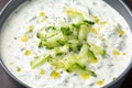 Tzatzik yogurt cucumber white sauce in bowl Royalty Free Stock Photo