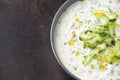 Tzatzik yogurt cucumber white sauce in bowl Royalty Free Stock Photo