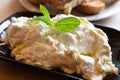 Tzatziki, cacik or tarator, dip or sauce from Southeast Europe and Middle East made of salted strained yogurt mixed with