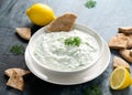 Tzatziki dip sauce with greek yogurt, garlic, dill and cucumber in white bowl Royalty Free Stock Photo