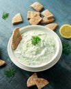 Tzatziki dip sauce with greek yogurt, garlic, dill and cucumber in white bowl Royalty Free Stock Photo