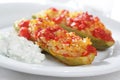Tzatziki and stuffed summer squash Royalty Free Stock Photo