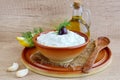 Tzatziki - yoghurt sauce with cucumber, dill, olive oil, lemon and garlic in a traditional bowl,traditional greek