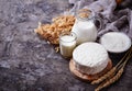 Tzfat cheese, milk and wheat grains. Symbols of judaic holiday S