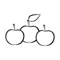 Three apples with leaf outline
