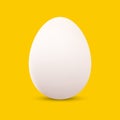 White eggshell, Happy easter holiday, Egg isolated, Realistic animal egg on yellow background, Vector illustration.