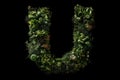 U alphabet letter made out of leaves plants and flowers isolated on black background illustration generative ai Royalty Free Stock Photo