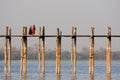 U Bein bridge in Amarapura in Myanmar