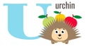 U card. English alphabet letter. Funny urchin