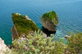 U Diu Grossu rock from the top, Bonifacio, Corsica, France Royalty Free Stock Photo