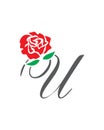 U initial rose logo , abstract u rose logo Royalty Free Stock Photo