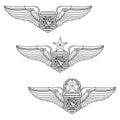 U.S. Air Force Weapons Controller Officer Badge Set