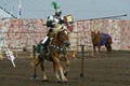 U.S./International Jousting Championship Royalty Free Stock Photo