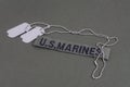 U.S. MARINES Branch Tape with dog tags on olive drab uniform