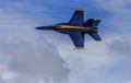 U.S. Navy Blue Angels Flight Demonstration Team Royalty Free Stock Photo