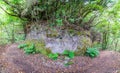 Panoramic view of u-shape curve in the rainforest track Royalty Free Stock Photo