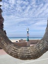 U shaped Palm tree Mission Beach, CA Royalty Free Stock Photo