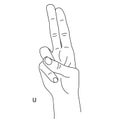 U is the twenty-first letter of the alphabet in sign language. Gesture in the form of the index and middle finger