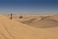 UAE/ABUDHABI - 13 DEZ 2018 - Photograph of woman on top of a dune in the desert of Abu Dhabi. UAE