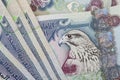 UAE currency dirhams closeup note Royalty Free Stock Photo