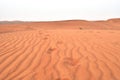 UAE Deserts