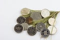 UAE Dirham Coins on pine needles isolated on white background. Royalty Free Stock Photo