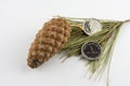 UAE 1 Dirham Coins and Pinecone on pine needles. Royalty Free Stock Photo