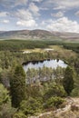 Uath Lochans at Glen Feshie.