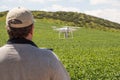 UAV Drone Pilot Flying and Gathering Data Over Country Farm Land